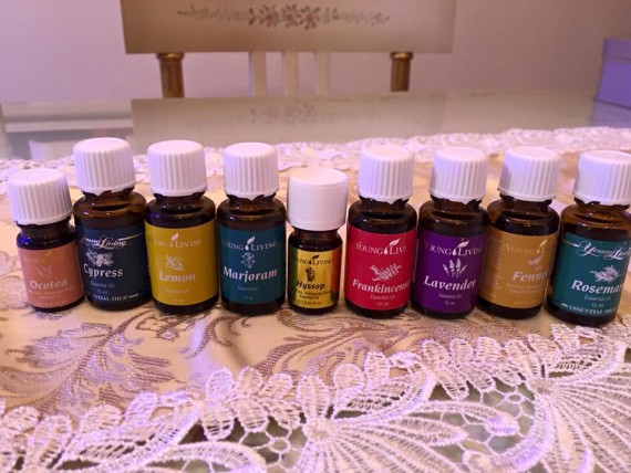 12705632_1581650745484926_1183034049256421900_n