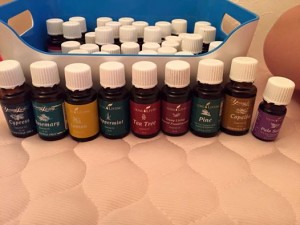 1689005_1581974672119200_2250498996746908875_n