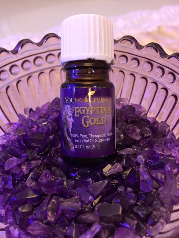 1935225_1581650755484925_6758165288142257053_n