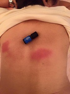 600415_1581974705452530_516865184789108504_n