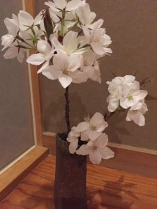 12494838_1595099737473360_4843042918223669364_n