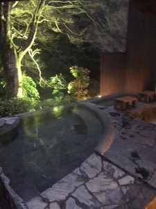 12932775_1595099844140016_8885836329126922492_n