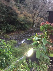 12933113_1595099787473355_1923487957849553367_n