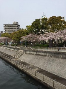 12974395_1597210147262319_3077033848910264956_n