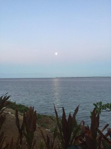 13010850_1603084456674888_730108976088285993_n