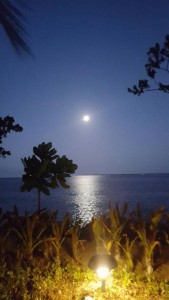 13012829_1603084493341551_425895232745037669_n