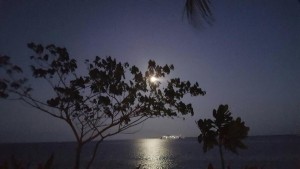 13015193_1603084506674883_3452915121308479803_n