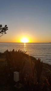 13083098_1603084433341557_5889719697240968984_n