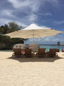 13179411_1613365862313414_1661350662836850153_n