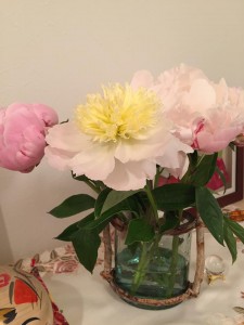 13241179_1622709254712408_1655170598897291896_n