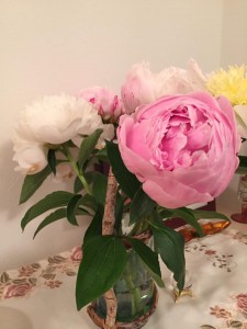 13241293_1622709268045740_4438857118618372804_n