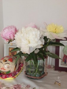 13245369_1622709218045745_3071763850758045253_n