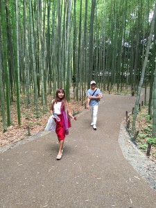 13445712_1635229670127033_6912056148243059099_n