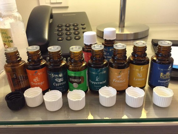 13669574_1654791164837550_7764612143106760006_n