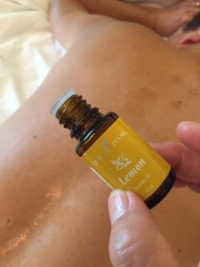 13775458_1654790111504322_2166448142611496459_n