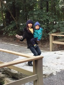 timeline_20170207_090804