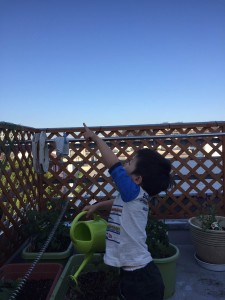 timeline_20170505_213513
