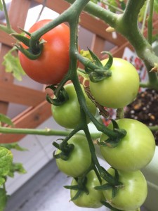 timeline_20170609_100433